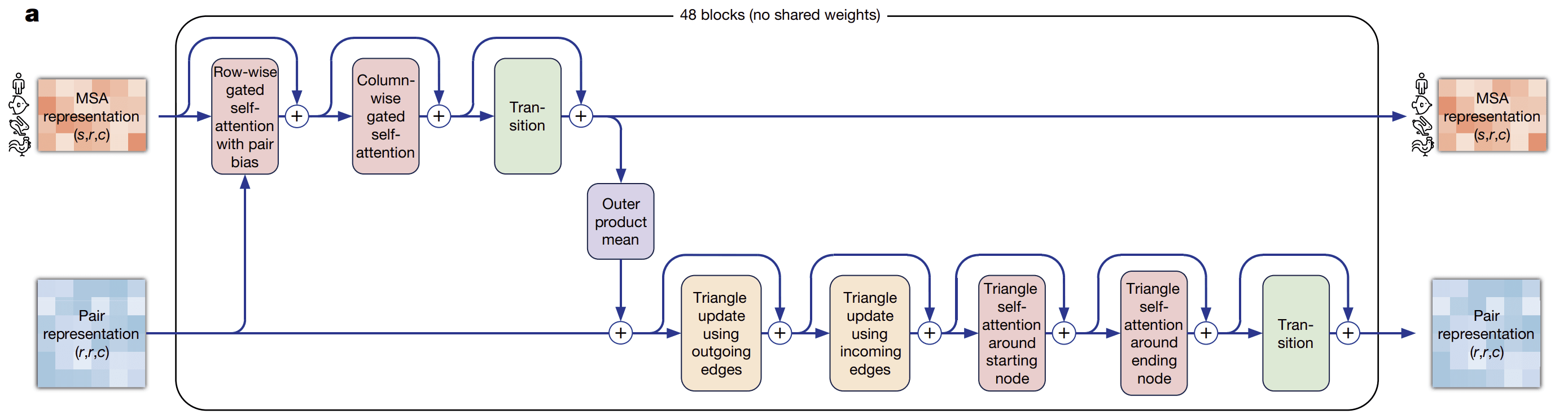 alphafold2