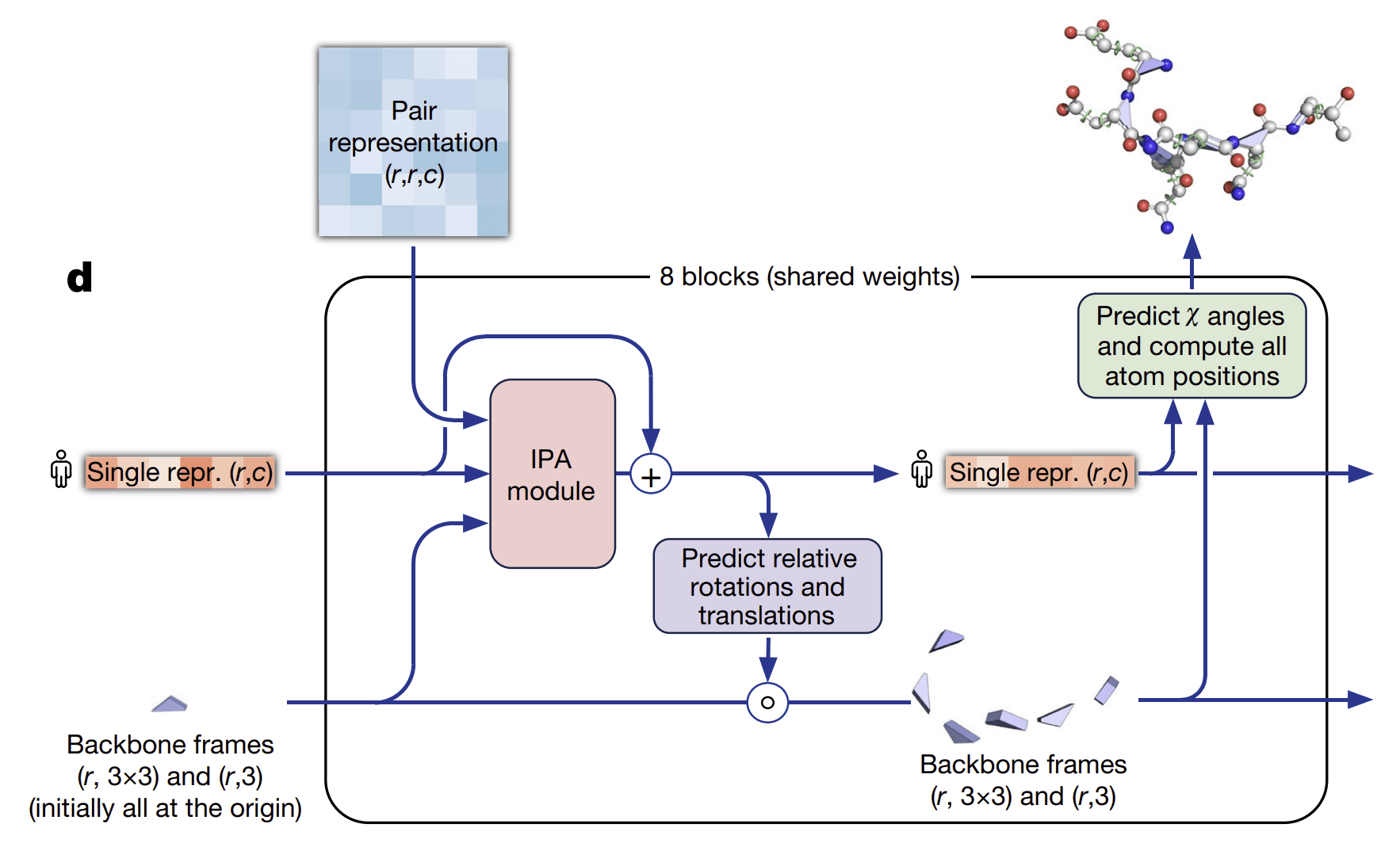 Evoformer-Internal-structure