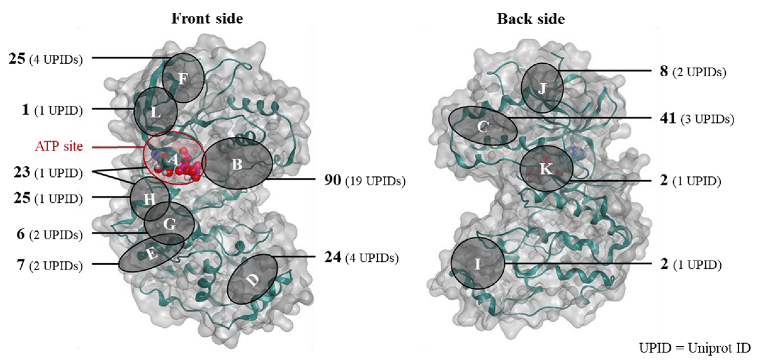 binding-site-drug-discovery