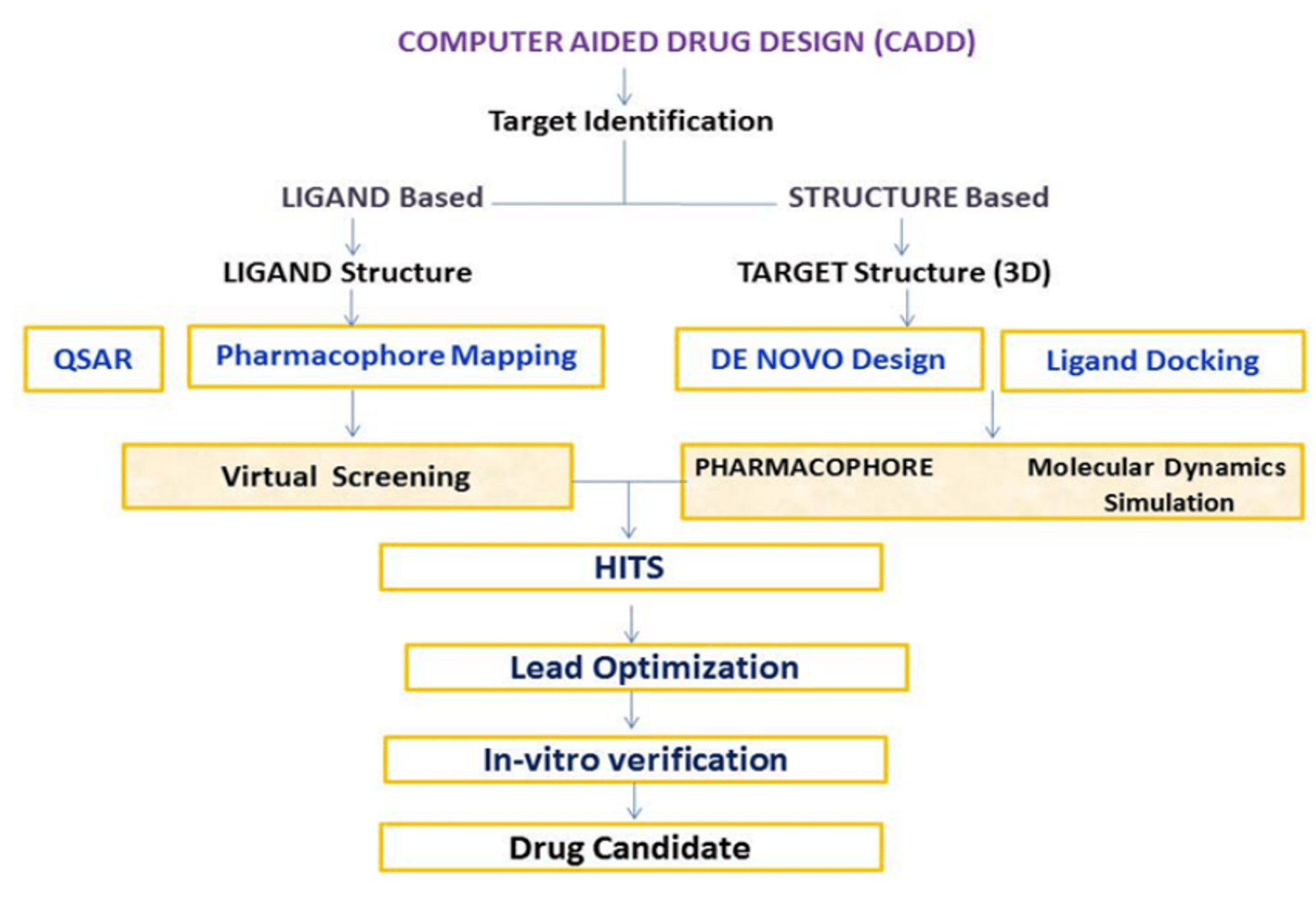 computer-aided-drug-design