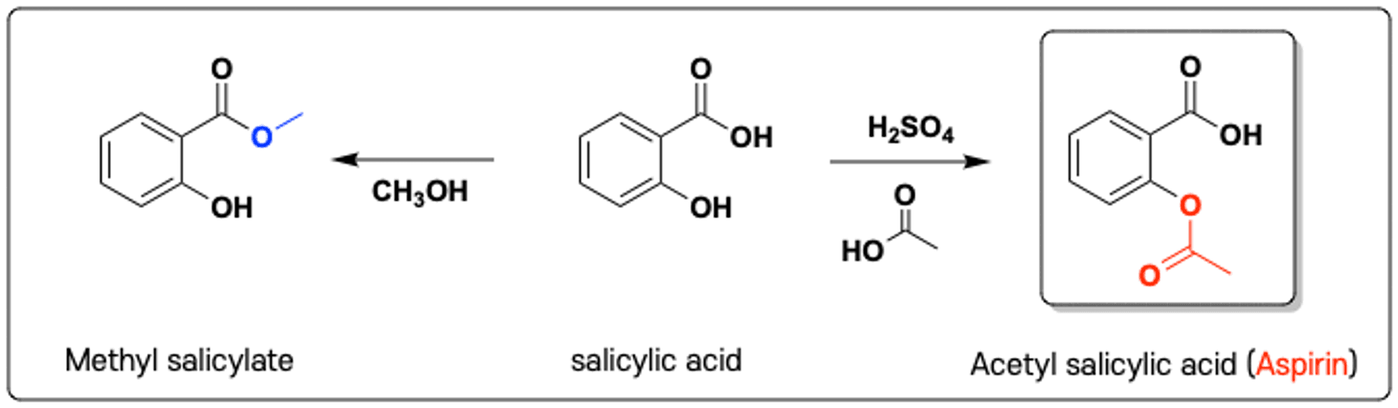 aspirin-drug-discovery